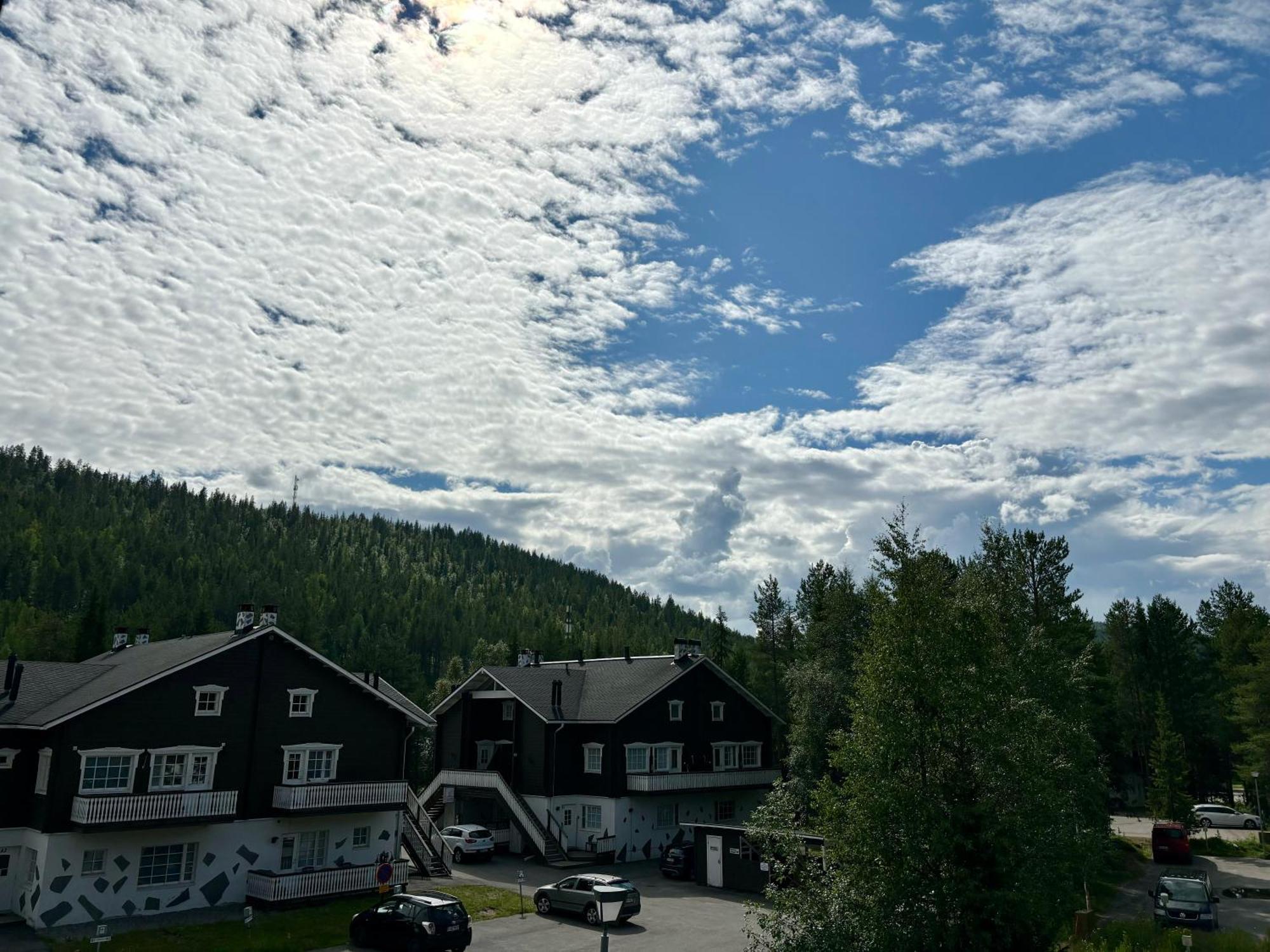 Levi Suites Levi Gold Kültér fotó